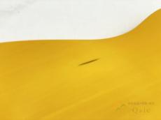 Fender Made in Japan Traditional II 50s Telecaster 2024年製 【返品OK】[MMM28]【阿倍野店在庫】_11