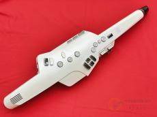 Roland AE-10 [MMM19]【梅田店在庫】