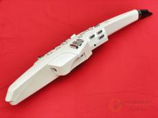 Roland AE-10 [MMM19]【梅田店在庫】_2