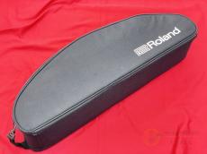 Roland AE-10 [MMM19]【梅田店在庫】_10