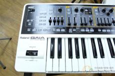 Roland GAIA SH-01● 2020年製 [MM212]【神戸店在庫】_2