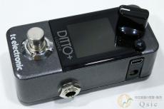 tc electronic Ditto+ Looper [WL341]【神戸店在庫】