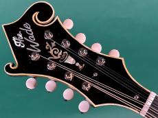 WADE FW-5 with VIRZI Tone producer_5