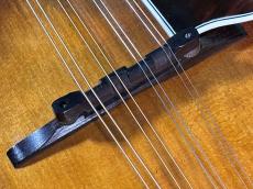 WADE FW-5 with VIRZI Tone producer_10