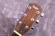 Taylor 110e_4