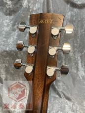 Ibanez ACFS580CE_6