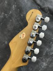 Fender Stratocaster / Midnight Purple Mod_6