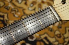 SCHECTER OL-PT-2H-VTR/SBM/R_6