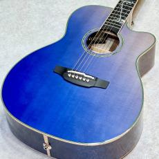 Takamine(タカミネ)、30万円～50万円未満の検索結果1～19件【楽器検索