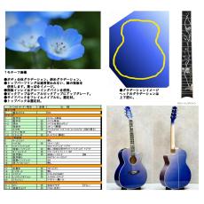 Takamine 【現物動画あり】700 CTM ネモフィラ【生産数1本】【工場選定スプルース×虎杢メイプル】_2