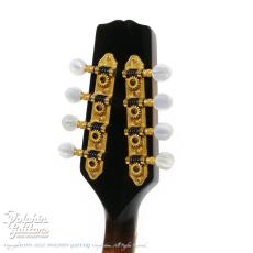 Gibson A-5L_10