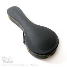 Gibson A-5L_11