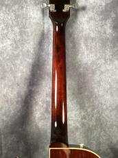 Gibson Howard Roberts Fusion_7