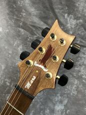 Paul Reed Smith [PRS] Private Stock #2406 Planet Series MARS Modern Eagle Quatro_3