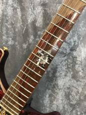 Paul Reed Smith [PRS] Private Stock #2406 Planet Series MARS Modern Eagle Quatro_9