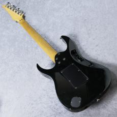 Ibanez JEM 10th Anniversary Steve Vai Signature_6