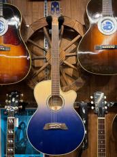 Takamine TSP138C CTM Blue Gradation_2