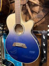 Takamine TSP138C CTM Blue Gradation_4