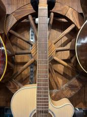 Takamine TSP138C CTM Blue Gradation_5