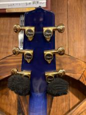 Takamine TSP138C CTM Blue Gradation_10