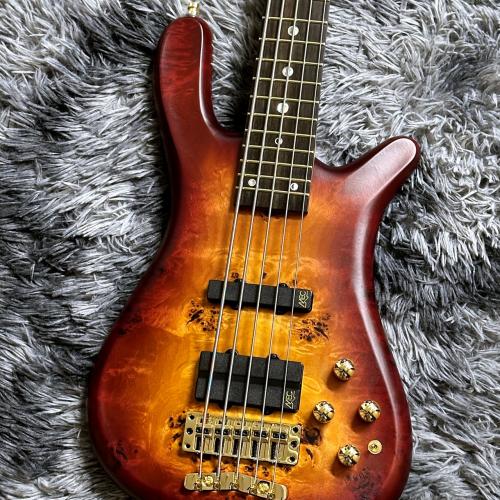 Warwick Teambuilt Streamer LX 5-string Limited Edition 2025 Honey Sunset Burst in Natural Transparent Satin
