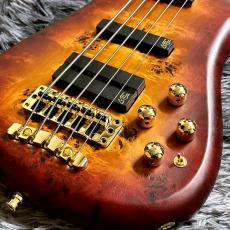 Warwick Teambuilt Streamer LX 5-string Limited Edition 2025 Honey Sunset Burst in Natural Transparent Satin_3