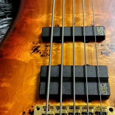 Warwick Teambuilt Streamer LX 5-string Limited Edition 2025 Honey Sunset Burst in Natural Transparent Satin_4