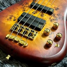 Warwick Teambuilt Streamer LX 4-string Limited Edition 2025 Honey Sunset Burst in Natural Transparent Satin_3