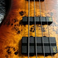 Warwick Teambuilt Streamer LX 4-string Limited Edition 2025 Honey Sunset Burst in Natural Transparent Satin_4