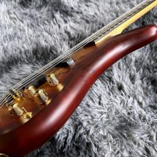 Warwick Teambuilt Streamer LX 4-string Limited Edition 2025 Honey Sunset Burst in Natural Transparent Satin_11