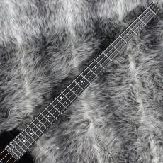 Steinberger Spirit XT-2 Standard Bass Black_3