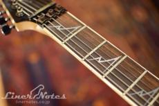 Ibanez 2007 Prestage RG2570E GK (Galaxy Black)_6