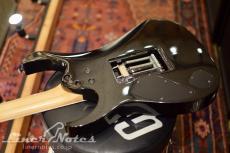 Ibanez 2007 Prestage RG2570E GK (Galaxy Black)_8