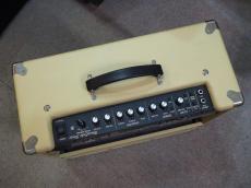 Roland Blues Cube Stage_4