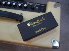 Roland Blues Cube Stage_7