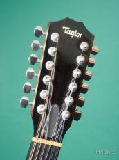 Taylor 552ce 12-Flet w/M-Factory Dual System_3