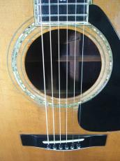 YAMAHA L-55 Custom /　Flagship Model・Abalone Trim・Solid Premium Grade Ezo Spruce Top・Solid Premium Grade Jacaranda Side and Back・Terry Nakamoto Sign 【With Custom Hard Case】　1984年製_7