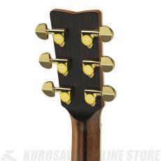 YAMAHA LS36 ARE《メンテナンスグッズプレゼント!》【ONLINE STORE】_5
