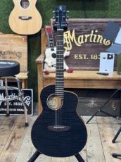 aNueNue aNN-L77E[フルサイズ/21フレット] 【店頭未展示品】《高性能ケーブルプレゼント!》【ONLINE STORE】_2