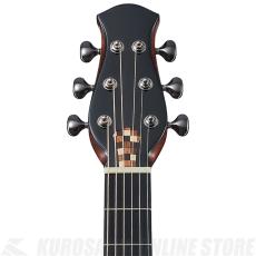 aNueNue aNN-LS Seiji Igusa《フルサイズ/21フレット》【井草聖二×杉田健司監修モデル】【ONLINE STORE】_3