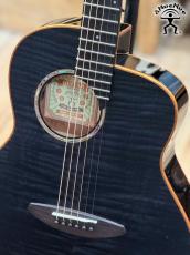 aNueNue aNN-L77E #AM20273 [フルサイズ/21フレット]【実物写真】【店頭未展示品】《高性能ケーブルプレゼント!》【ONLINE STORE】_6