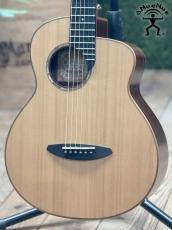 aNueNue aNN-M60 #AJ09545 [トラベルサイズ]【実物写真】【店頭未展示品】《アクセサリーセットプレゼント!》【ONLINE STORE】