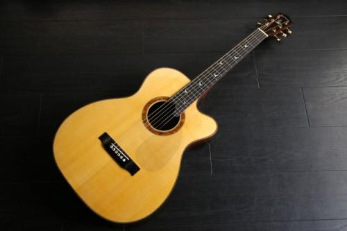 Greven Orchestra model　