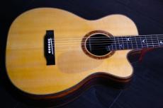 Greven Orchestra model　_3