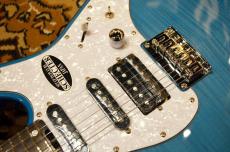 SCHECTER OL-BH-FM-FXD/ILB_8