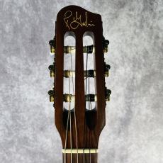 Godin Multiac Nylon Duet _2