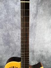 Godin Multiac Nylon Duet _3