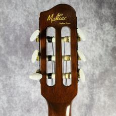 Godin Multiac Nylon Duet _5