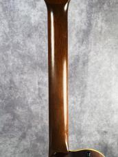 Godin Multiac Nylon Duet _6