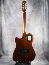 Godin Multiac Nylon Duet _8
